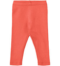 Wheat Leggings - Rib - Maddy - Candy Útg