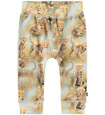 Molo Hosen - Sammy - Cheetah Jungtiere