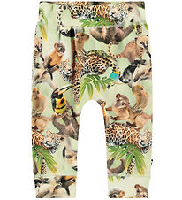 Molo Trousers - Sammy - Jungle Cubs
