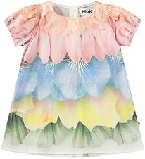 Molo Dress - Box - Petal Rainbow