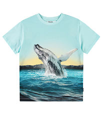Molo T-shirt - Frame - Whale Jump