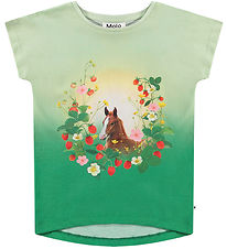 Molo T-shirt - Ragnhilde - Beauty