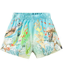 Molo Swim Shorts - UV50+ - Newton - Happy Ocean