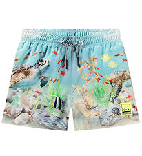Molo Swim Shorts - UV50+ - Niko - Happy Ocean