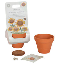 Little Dutch Potta m. Frön - Solros
