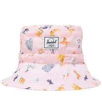 Herschel Bucket Hat - Toddler Beach UV - Dog Show