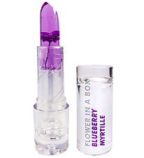 Inuwet Lip balm - Flower In A Box - Blueberry