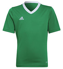 adidas Performance T-shirt - ENT22 - Teagreen/White