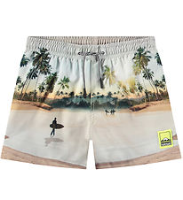 Molo Swim Shorts - UV50+ - Niko - Iceland Surf