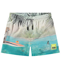 Molo Swim Shorts - UV50+ - Niko - Leo On Surf