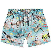 Molo Swim Shorts - UV50+ - Niko - Marine Turtles