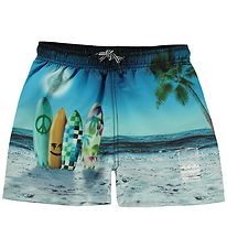 Molo Swim Shorts - UV50+ - Niko - Sunset Surfer