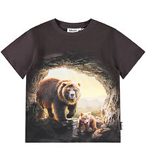 Molo Blouse - Riley - Cave Bears