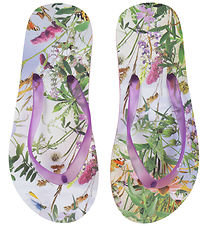 Molo Flip Flops - Zeppo - Wild Nature