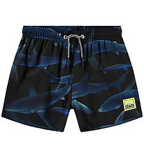 Molo Swim Shorts - UV50+ - Niko - Midnight Sharks