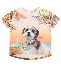 Molo T-Shirt - Raeesa - Festivalbesucher