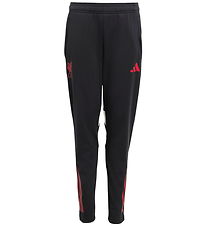 adidas Performance Trousers - LFC TR PNT Y - Black