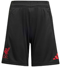 adidas Performance Shorts - LFC TR SHO Y - Black