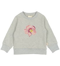 Petit Piao Collegepaita - Syksy Anemone