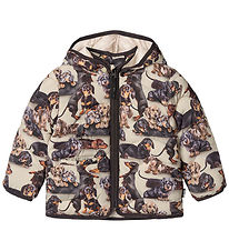 Molo Steppjacke - Harmony - Dackel Soft