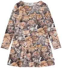 Molo Dress - Corelie - Fuzzy Fluffy