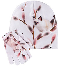 Molo Beanie w. Gloves - Kaya - Willow CAT