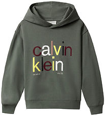 Calvin Klein Hoodie - Color Logo - Thyme Green