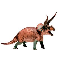 EoFauna - 13,5 x 20 cm - Triceratops Kryptinen
