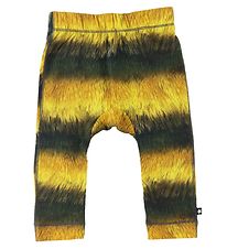 Molo Trousers - Seb - Bee