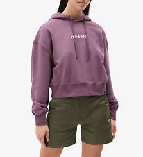 Dickies Sweat  Capuche - Recadr - Loretto - Purple Gumdrop