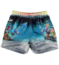 Molo Swim Shorts - Swim Trunks UV50+ - Newton - Happy Baby Fish