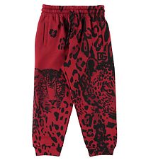 Dolce & Gabbana Sweatpants - Animals - Red Leo