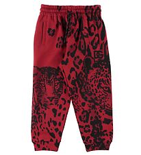 Dolce & Gabbana Sweatpants - Djur - Röd Leo
