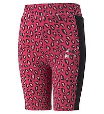 Puma Fietsbroek - Classic+ - Beetroot Purple