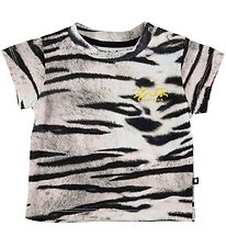 Molo T-Shirt - Emilio - Tigre White