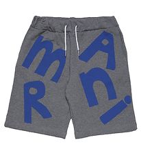 Marni Shorts en Molleton - Gris Fonc Chin/Bleu