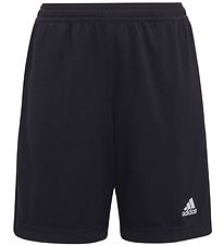 adidas Performance Shorts - Entrada 22 - Black