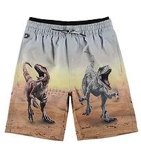 Molo Swim Shorts - Swim Trunks UV50+ - Neal - Dino Scenery