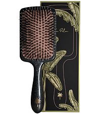 Fan Palm Hairbrush - Large - Big Star