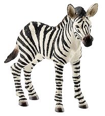 Schleich Wild Life - H: 7 cm - Zebra Foal 14811