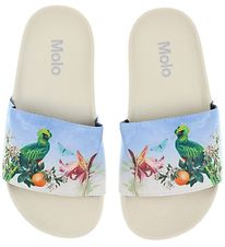 Molo Flip Flops - Zhappy - Paradise Bird