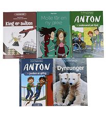 Straarup & Co Book Package - 2nd grade - Assort. - 5 Books