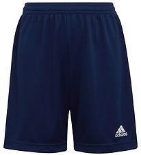 adidas Performance Shorts - ENTRADA 22 - Blue