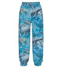Molo Rain Pants - Waits - BIG Ancient Sea