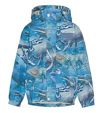 Molo Rain Jacket - Waiton - BIG Ancient Sea