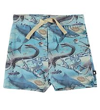 Molo Shorts - Simroy - Uralt Ocean