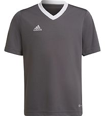 adidas Performance T-shirt - ENT22 JSYY - Gr/Vit