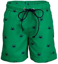 Petit Crabe Sund stuttbuxur - Boardie - UV50+ - Green Krabbi