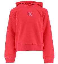 Calvin Klein Kapuzenpullover - Logo Boxy - Teebeere