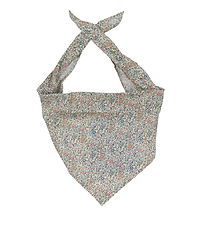 GoBabyGo Teething Bib - Bandana - Katie & Millie Orange